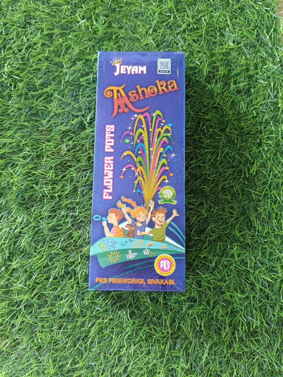 Flower Pots Asoka (BOX)